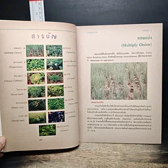 หนังสือ การปลูกผักกินใบ รูปที่ 7