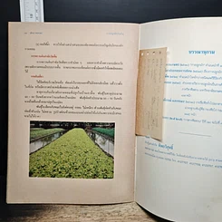 หนังสือ การปลูกผักกินใบ รูปที่ 8
