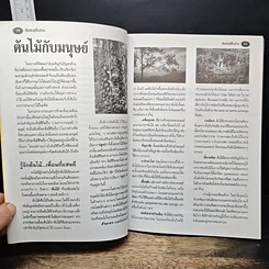 หนังสือ พืชพันธุ์พื้นบ้าน ความสุขชั่วชีวิตที่เราปลูกได้ รูปที่ 7