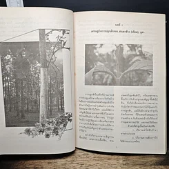 หนังสือ สักทอง รูปที่ 7