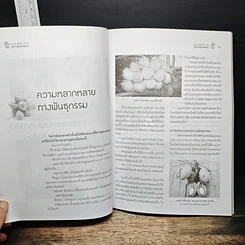 หนังสือ มะพร้าว พืชสารพัดประโยชน์ รูปที่ 7