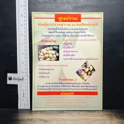 หนังสือ คัมภีร์มืออาชีพ ไม้ผลเศรษฐกิจ รูปที่ 2