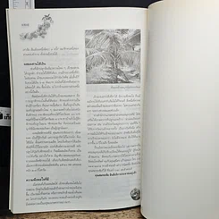 หนังสือ คัมภีร์มืออาชีพ ไม้ผลเศรษฐกิจ รูปที่ 9