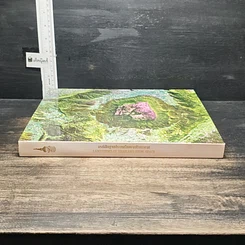 หนังสือ ธรณีสัณฐานประเทศไทยจากห้วงอวกาศ รูปที่ 3