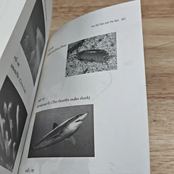 หนังสือ ชายชราและทะเล รูปที่ 8