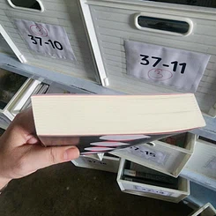 หนังสือ The Handmaid’s Tale เรื่องเล่าของสาวรับใช้ - Margaret Atwood รูปที่ 4