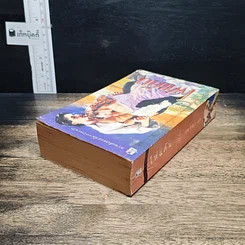 นิยายโรมานซ์ ไฟแค้น รูปที่ 5