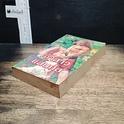 หนังสือ นิยายโรมานซ์ เจ้าสาวแสนกล รูปที่ 4