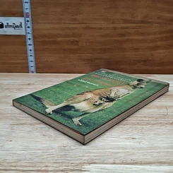 หนังสือ แดนสวรรค์และสายลมใต้ รูปที่ 4