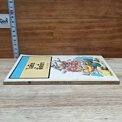 หนังสือ ไอริชติดซิ่ง รูปที่ 3