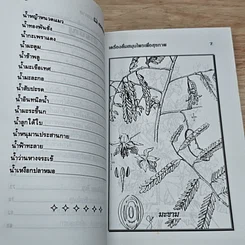 หนังสือ เครื่องดื่มสมุนไพรเพื่อสุขภาพ รูปที่ 7