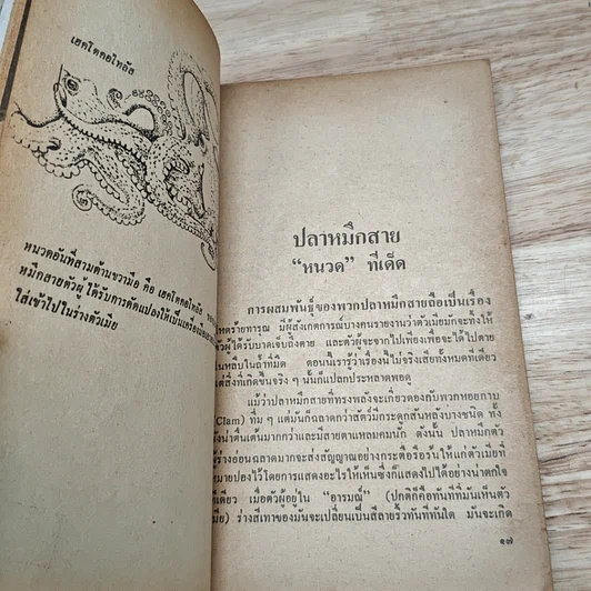 หนังสือ พวกนั้นนั่นกันยังไง รูปที่ 7