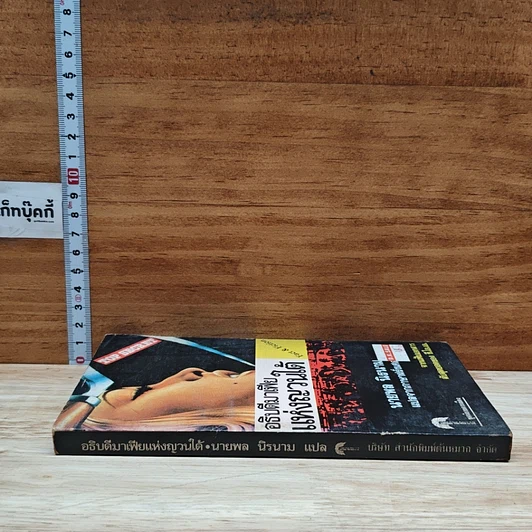 หนังสือ อธิบดีมาเฟียแห่งญวนใต้ รูปที่ 3