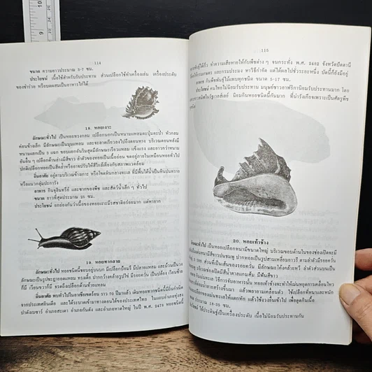 หนังสือ ทรัพยากรปริทัศน์ของไทย รูปที่ 9