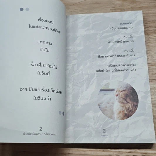 หนังสือ ถึงอย่างนั้นความรักก็ยังงดงาม รูปที่ 7