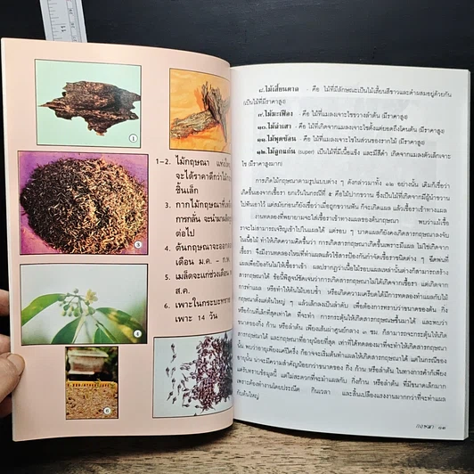 หนังสือ กฤษณา รูปที่ 8