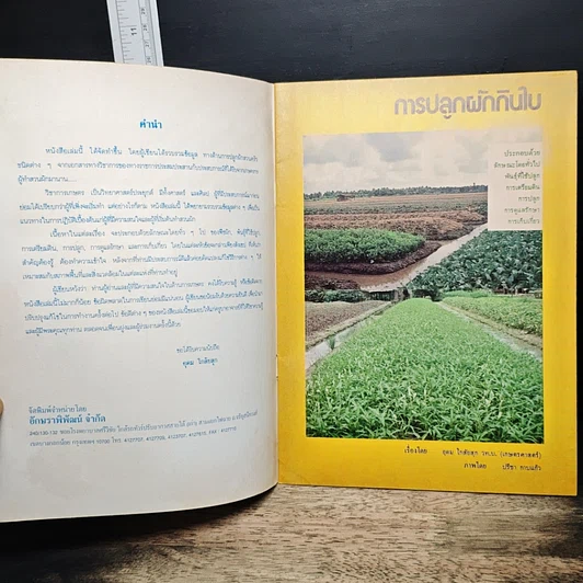 หนังสือ การปลูกผักกินใบ รูปที่ 6