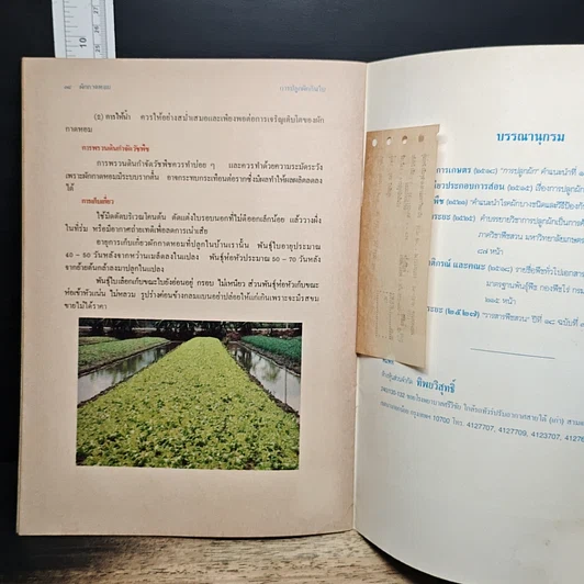 หนังสือ การปลูกผักกินใบ รูปที่ 8