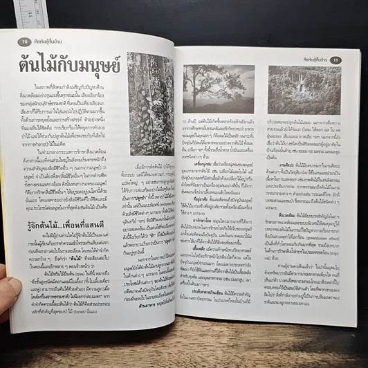 หนังสือ พืชพันธุ์พื้นบ้าน ความสุขชั่วชีวิตที่เราปลูกได้ รูปที่ 7