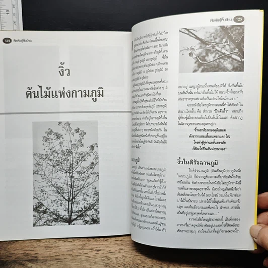 หนังสือ พืชพันธุ์พื้นบ้าน ความสุขชั่วชีวิตที่เราปลูกได้ รูปที่ 8