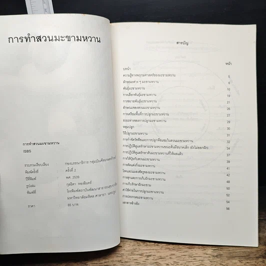 หนังสือ มะขามหวาน รูปที่ 6