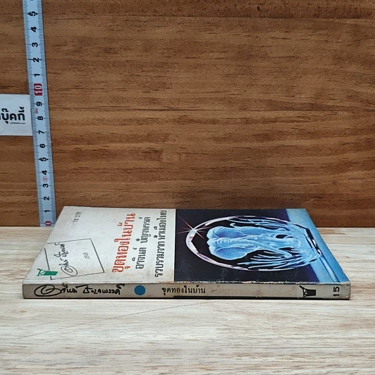 หนังสือ ขุดทองในบ้าน รูปที่ 3