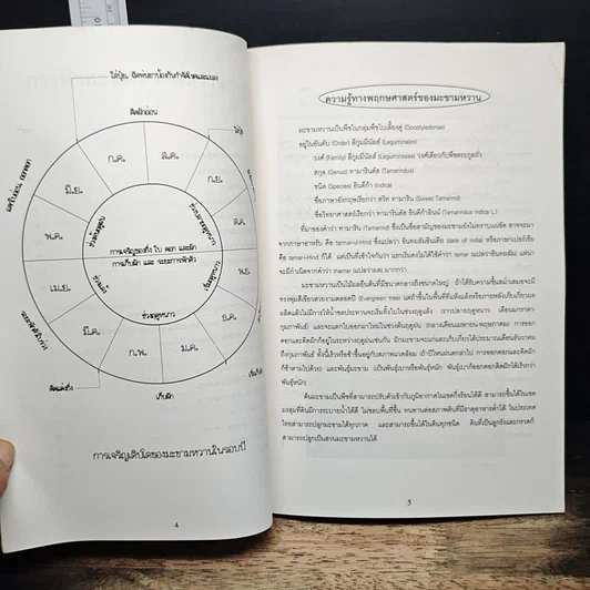 หนังสือ มะขามหวาน รูปที่ 7