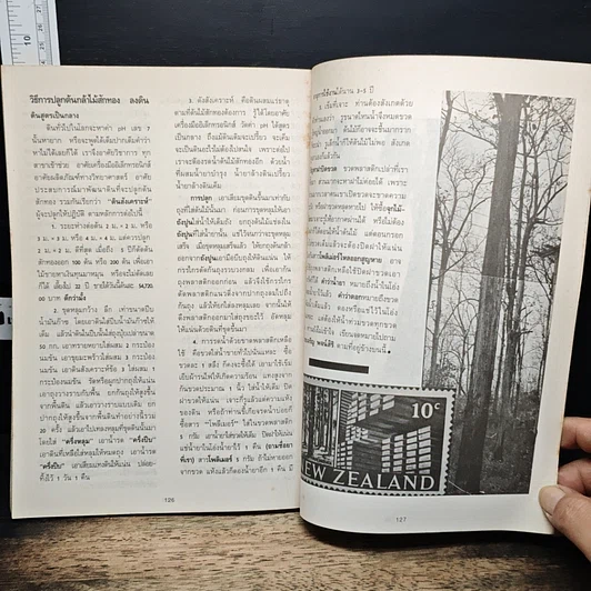 หนังสือ สักทอง รูปที่ 8