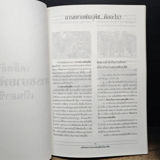 หนังสือ เคล็ดลับการขยายพันธุ์พืชเป็นอาชีพ รูปที่ 7