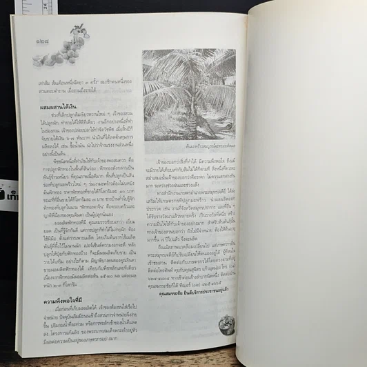 หนังสือ คัมภีร์มืออาชีพ ไม้ผลเศรษฐกิจ รูปที่ 9