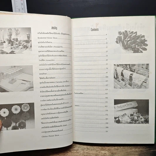 หนังสือ อุตสาหกรรมไม้ดอกไม้ประดับ รูปที่ 7