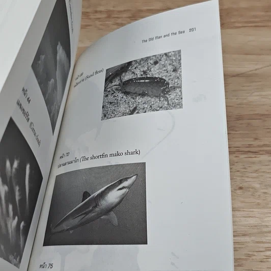 หนังสือ ชายชราและทะเล รูปที่ 8