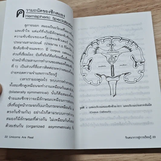 จินตนาการสู่การเรียนรู้ รูปที่ 9