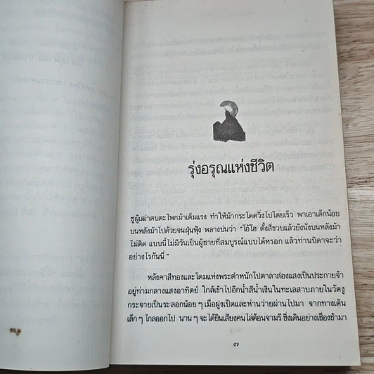 ตาที่สาม รูปที่ 8