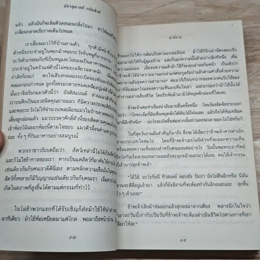 ตาที่สาม รูปที่ 9