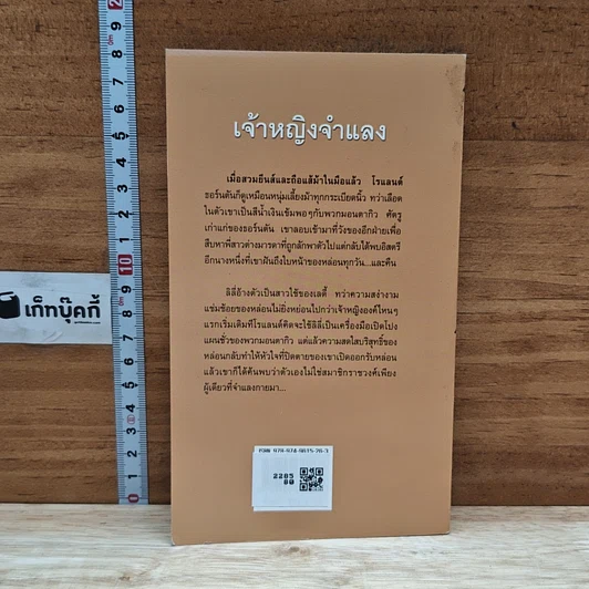 นิยายโรมานซ์ เจ้าหญิงจำแลง รูปที่ 2