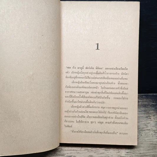 หนังสือ นิยายโรมานซ์ ทุ่งแห่งปรารถนา รูปที่ 6
