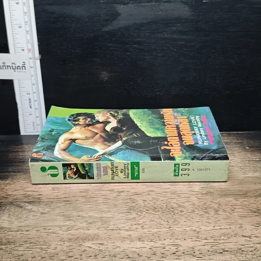 หนังสือ นิยายโรมานซ์ จะไล่ตามความรักไปสุดหล้า รูปที่ 3