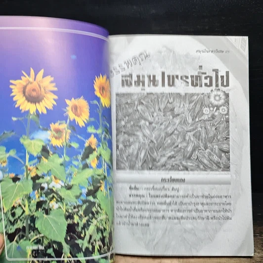 หนังสือ สมุนไพรยาวิเศษ รูปที่ 7