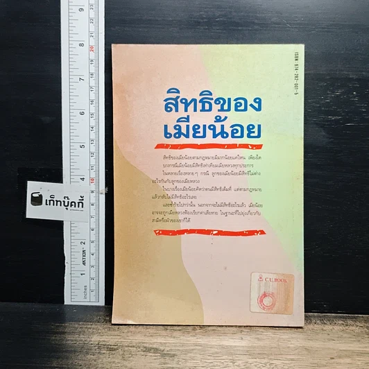 หนังสือ สิทธิของเมียน้อย รูปที่ 2