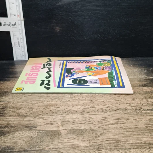 หนังสือ สิทธิของเมียน้อย รูปที่ 3