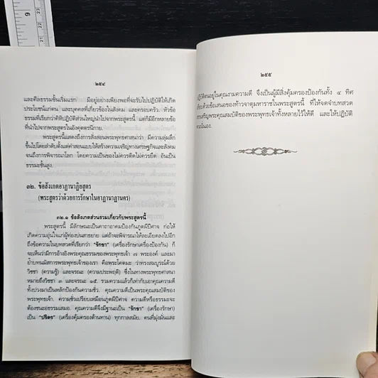 สารัตถะแห่งศาสนธรรม รูปที่ 11