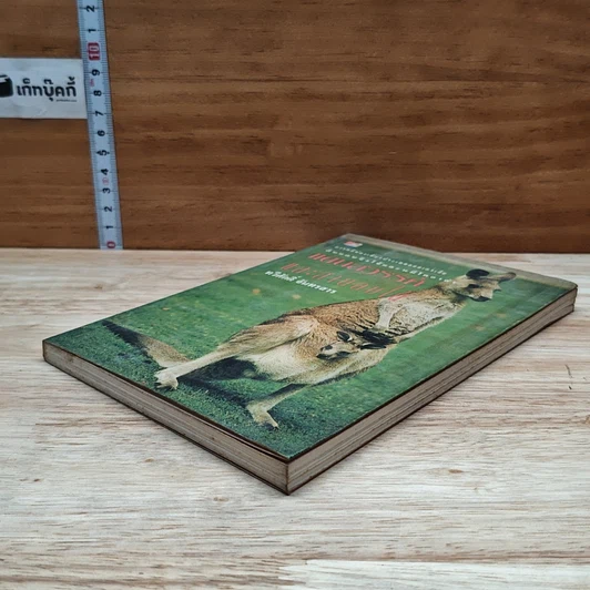 หนังสือ แดนสวรรค์และสายลมใต้ รูปที่ 4