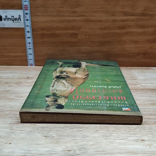 หนังสือ แดนสวรรค์และสายลมใต้ รูปที่ 5