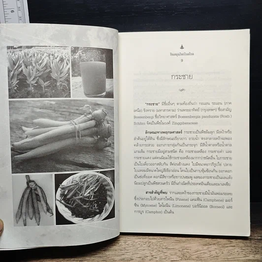 หนังสือ กินสมุนไพรไกลโรค รูปที่ 8