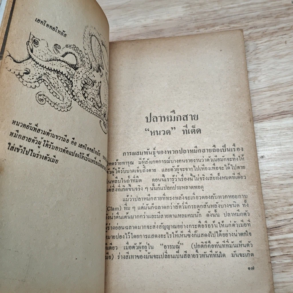 หนังสือ พวกนั้นนั่นกันยังไง รูปที่ 7