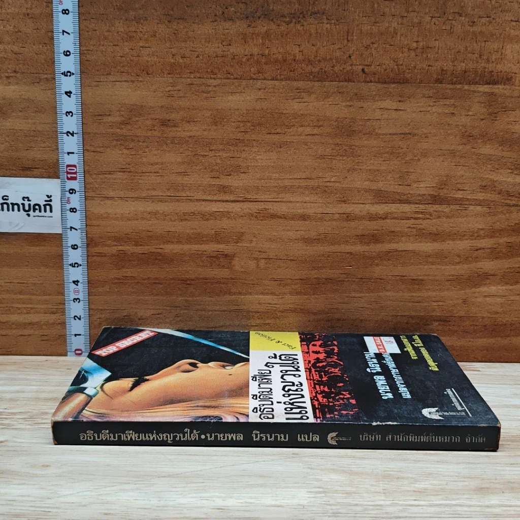 หนังสือ อธิบดีมาเฟียแห่งญวนใต้ รูปที่ 3