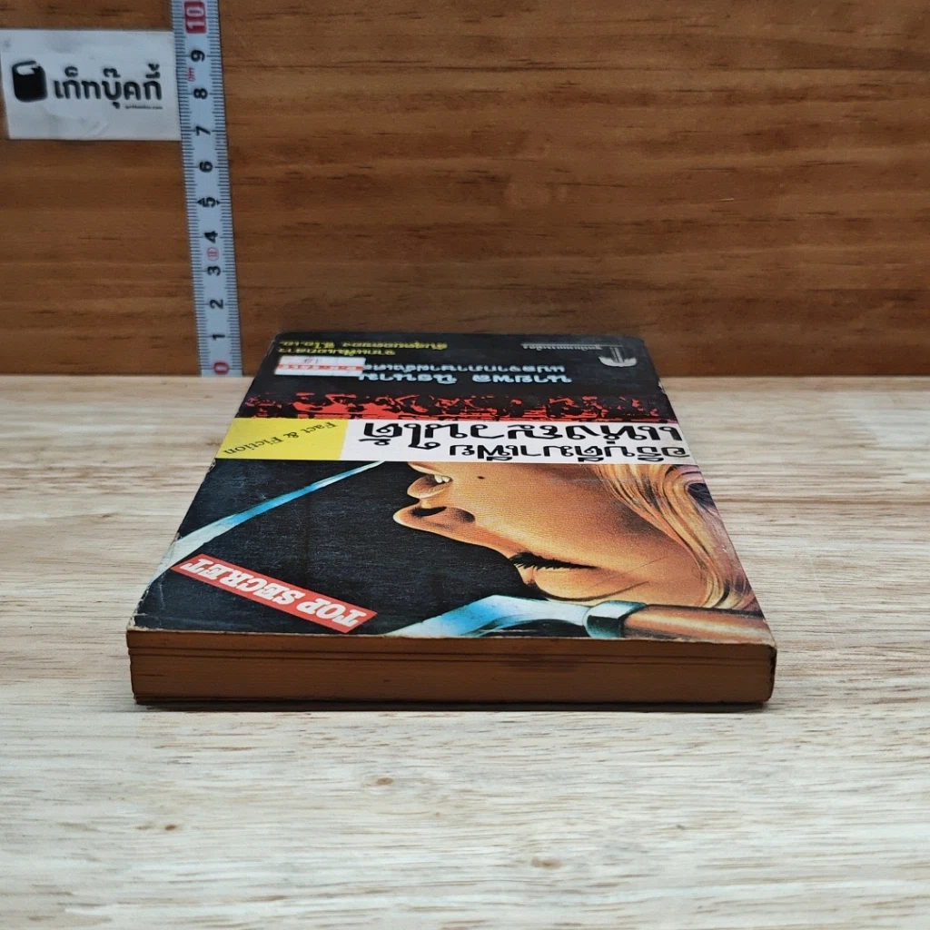 หนังสือ อธิบดีมาเฟียแห่งญวนใต้ รูปที่ 5