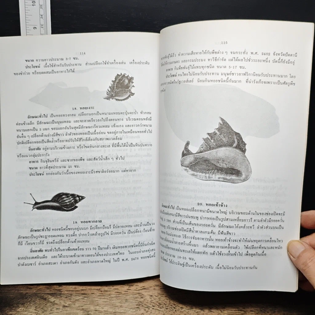 หนังสือ ทรัพยากรปริทัศน์ของไทย รูปที่ 9