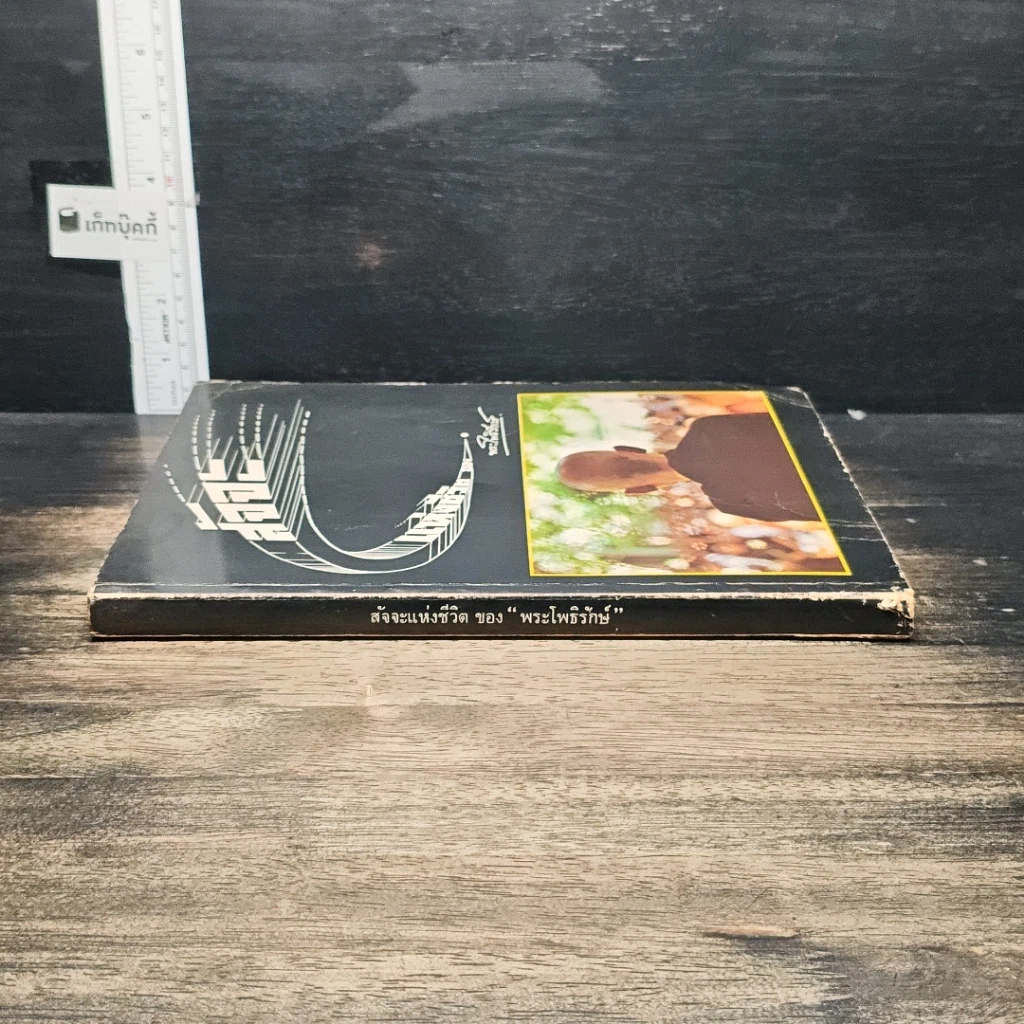 หนังสือ สัจจะแห่งชีวิต ของ พระโพธิรักษ์ รูปที่ 3